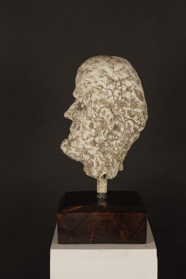 Male Head with Brown Patina by Valeriu Cazacevschi. Opposite profile view of the head, mounting stem and wooden base.