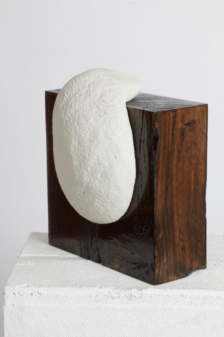 Metamorphic Sculpture (2020) by Valeriu Cazacevschi. A smooth white oval form emerging from a dark block of wood.