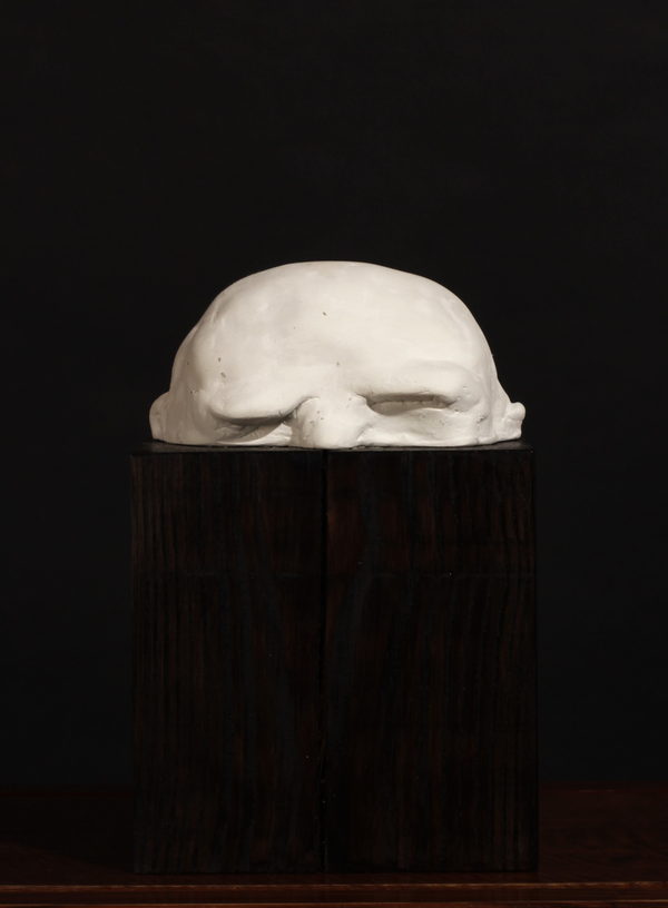 Sceal, Half a Head (2023) by Valeriu Cazacevschi. A pale upper half of a head with closed eyes emerges from a dark rectangular wooden block.