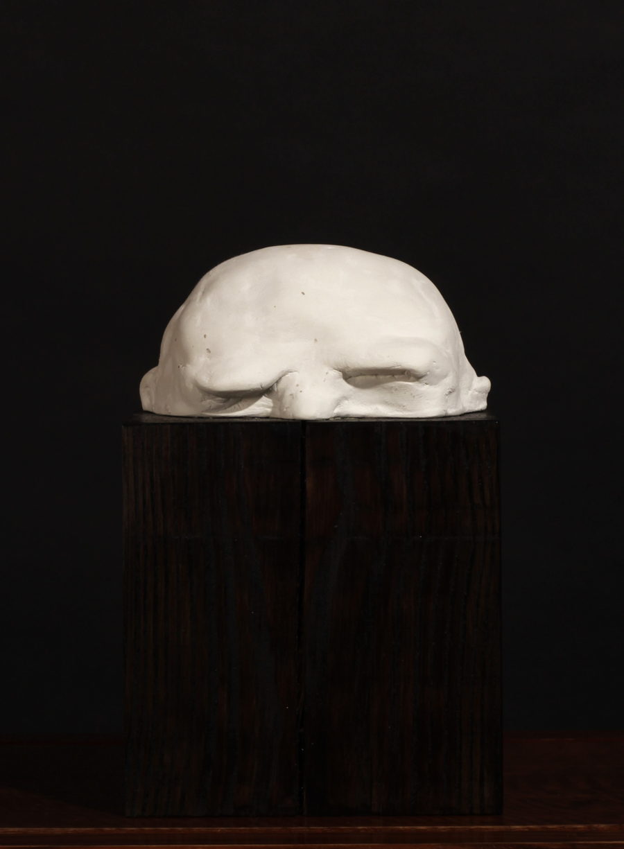 Sceal, Half a Head (2023) by Valeriu Cazacevschi. A pale upper half of a head with closed eyes emerges from a dark rectangular wooden block.