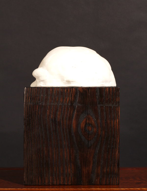 Sceal, Half a Head by Valeriu Cazacevschi. Angled side view of the pale half-head and dark wooden block.