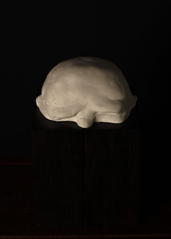 Sceal, Half a Head by Valeriu Cazacevschi. View from above showing the rounded form of the pale half-head.